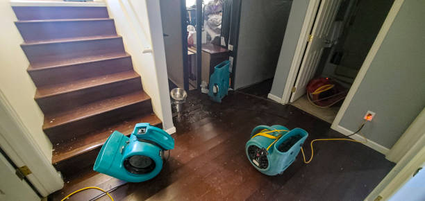 Trusted Pensacola Station, FL Water damage restoration Experts