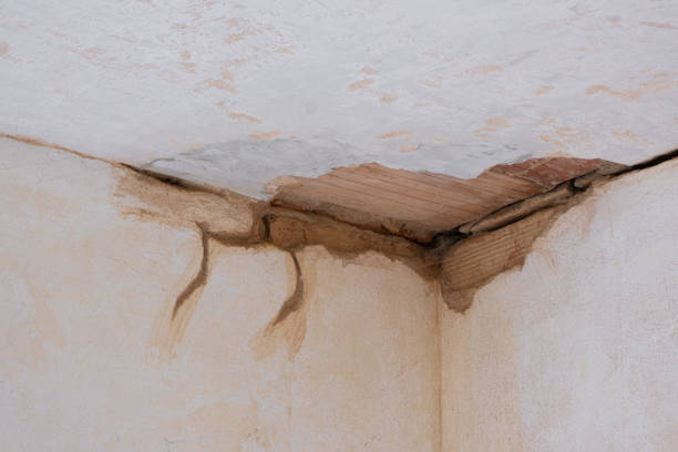 Best Water damage cleanup near me  in Pensacola Station, FL