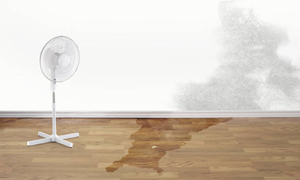 Best Water damage restoration near me  in Pensacola Station, FL