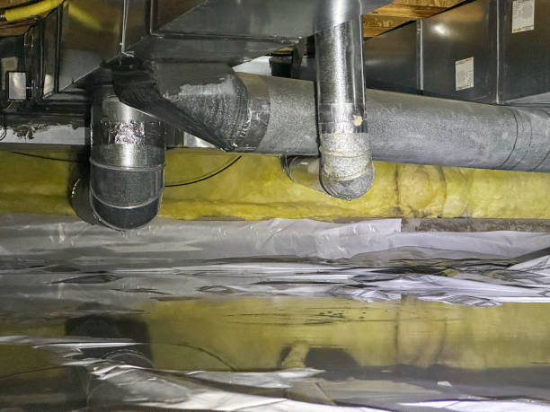 Best Water damage restoration near me  in Pensacola Station, FL