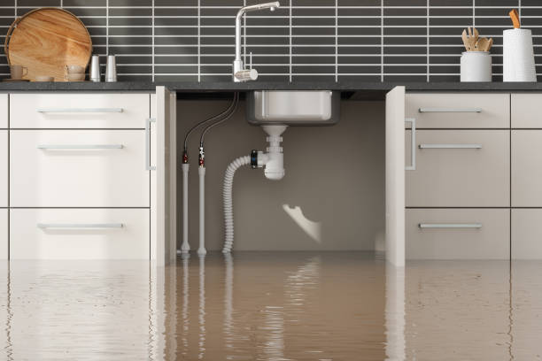 Best Sewage cleanup and water damage restoration  in Pensacola Station, FL